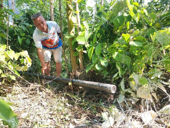 Ảnh của Phú Thọ: Xử lý, buộc di dời xưởng sản xuất giấy không phép